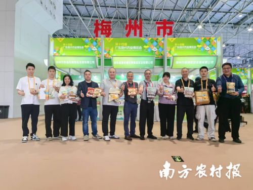 智創(chuàng)未來，AI賦能 蕉嶺毛竹品牌煥新，實(shí)業(yè)公司引領(lǐng)產(chǎn)業(yè)升級